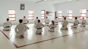 Image result for yonju dojo