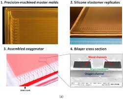 Image result for Hemonetics Multi