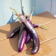 Afbeeldingsresultaat voor fengyuan purple eggplant