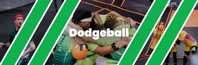 Image result for The Dodgeball Company