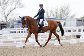 Image result for Abinger Forest Riding Club