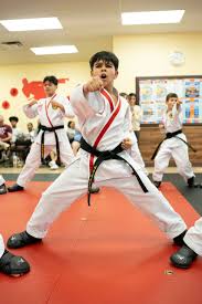 Image result for Get Into Martial Arts
