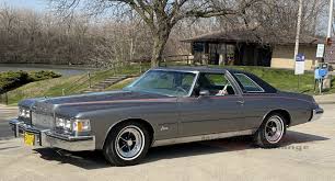 Image result for Horizon Blue 1975 Buick