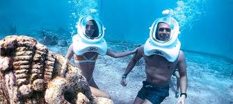 Image result for Seabug Divers
