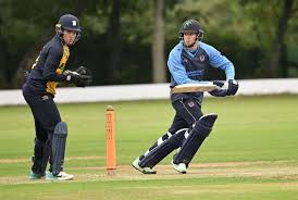 Image result for Bashley (Rydal) Cricket Club