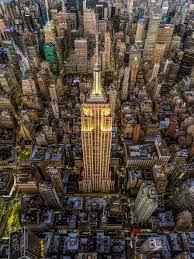 Image result for Jeffrey Milstein