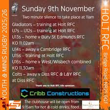 Image result for Holt R F C