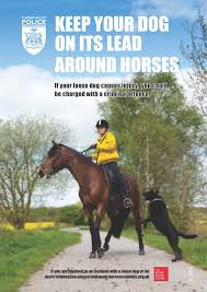 Image result for Dalkeith Park Equestrian Club