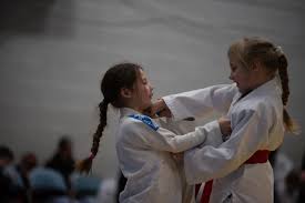 Image result for middlesbrough karate academy