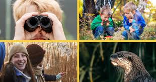 Image result for Lydney Cricket Club