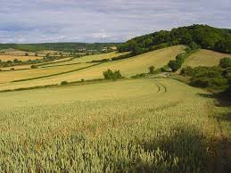 Image result for High Wycombe Cc