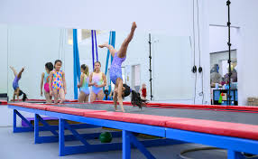 Image result for L&G Acrobatic Gymnastics Club