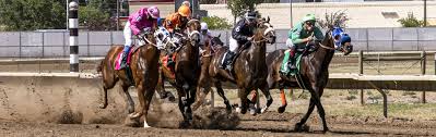 Image result for The Horse Racing Club