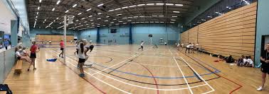 Image result for Cobham Netball Club