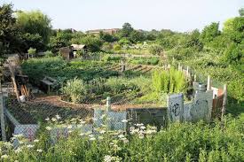 Image result for West Finchley B C