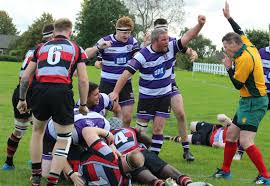 Image result for Dunstablians Rugby Union Football Club