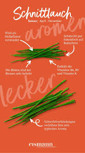 Image result for Schnittlauch