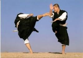 Image result for Winchester Shorinji Kempo Club