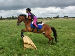 Image result for Patchett`s Green Riding Club