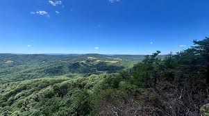 Image result for Carman Stables Archery