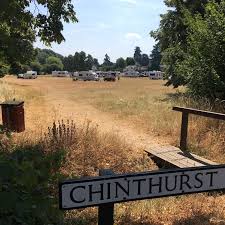 Image result for Shalford Cricket Club