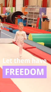 Image result for Mk Springers Gymnastics Club