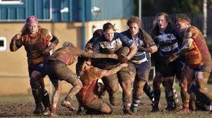 Image result for Westcliff Rugby Football Club