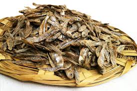 Attēlu rezultāti vaicājumam “Charales”