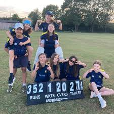Image result for Shenley Village Cricket Club