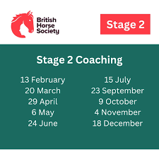 Image result for British Horse Society