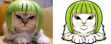Image result for limecat