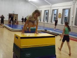 Image result for Excelsior Athletic Development Centre