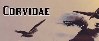 Attēlu rezultāti vaicājumam “Corvidae”