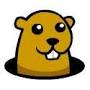 Groundhog Day 2012