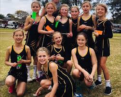Image result for Ledbury Magpies Netball Club