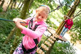 Image result for Go Ape! Whinlatter