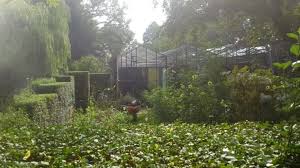 Image result for Priona Tuinen