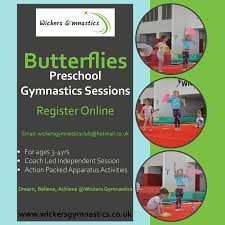 Image result for Wickers Gymnastics Club