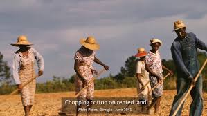 Résultat de recherche d'images pour "farm security administration photo"