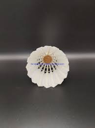 Image result for Linton Badminton Furies Badminton Club