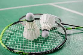 Image result for Chiltern Badminton Club