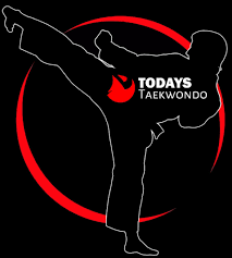 Image result for Kyokushin Karate