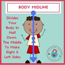 Image result for body midline