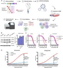 Image result for Cambridge N C I Cc