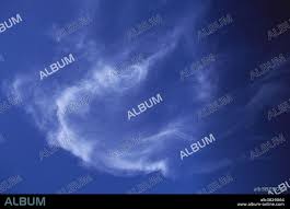 Attēlu rezultāti vaicājumam “Cirrus fibratus”