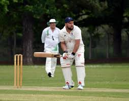 Image result for Capel Cricket Club