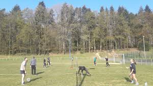 Image result for The Isle Badminton Club