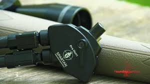 Attēlu rezultāti vaicājumam “Protapion sp.”