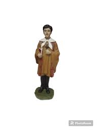 Image result for Saint Ceferino Namuncurá