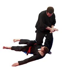 Image result for Mushin Kempo Jiu Jitsu Club